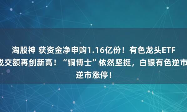 淘股神 获资金净申购1.16亿份！有色龙头ETF全天成交额再创新高！“铜博士”依然坚挺，白银有色逆市涨停！