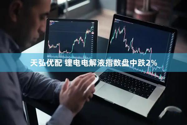 天弘优配 锂电电解液指数盘中跌2%