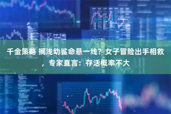 千金策略 搁浅幼鲨命悬一线？女子冒险出手相救，专家直言：存活概率不大