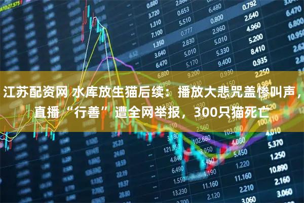 江苏配资网 水库放生猫后续：播放大悲咒盖惨叫声，直播 “行善” 遭全网举报，300只猫死亡