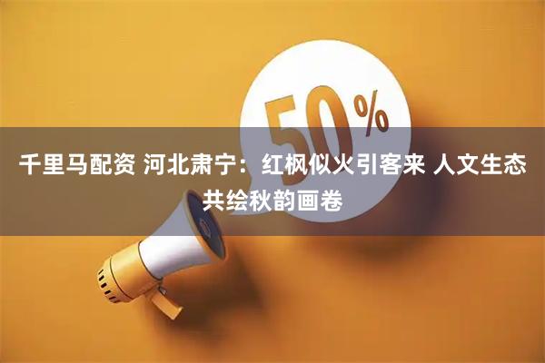 千里马配资 河北肃宁：红枫似火引客来 人文生态共绘秋韵画卷