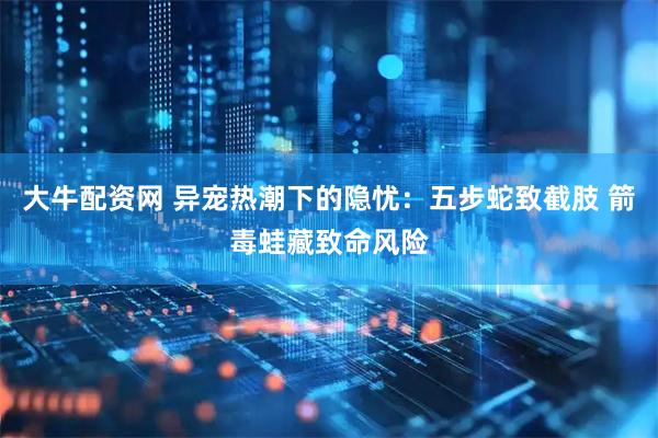 大牛配资网 异宠热潮下的隐忧：五步蛇致截肢 箭毒蛙藏致命风险