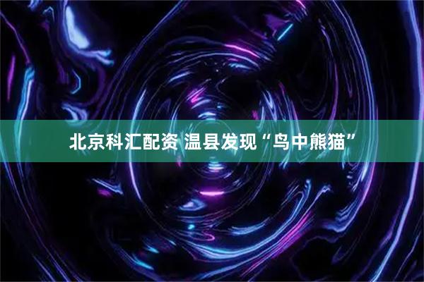 北京科汇配资 温县发现“鸟中熊猫”