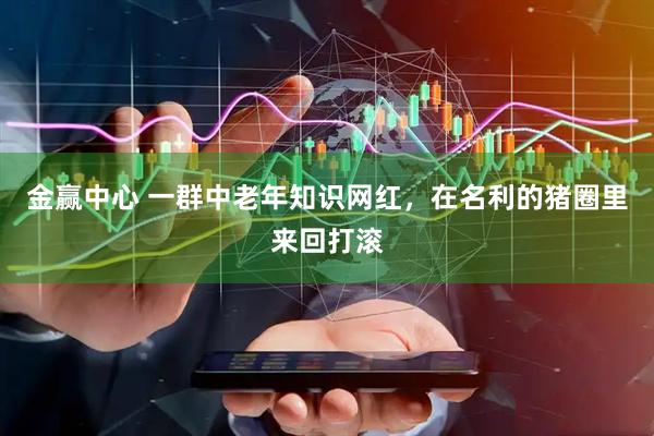 金赢中心 一群中老年知识网红，在名利的猪圈里来回打滚
