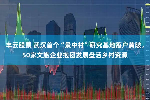 丰云股票 武汉首个“景中村”研究基地落户黄陂，50家文旅企业抱团发展盘活乡村资源
